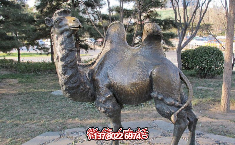 創(chuàng)意大型玻璃鋼駱駝雕塑，在草地上擺放，一眼回頭