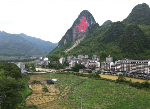 微信截圖_20250427100315